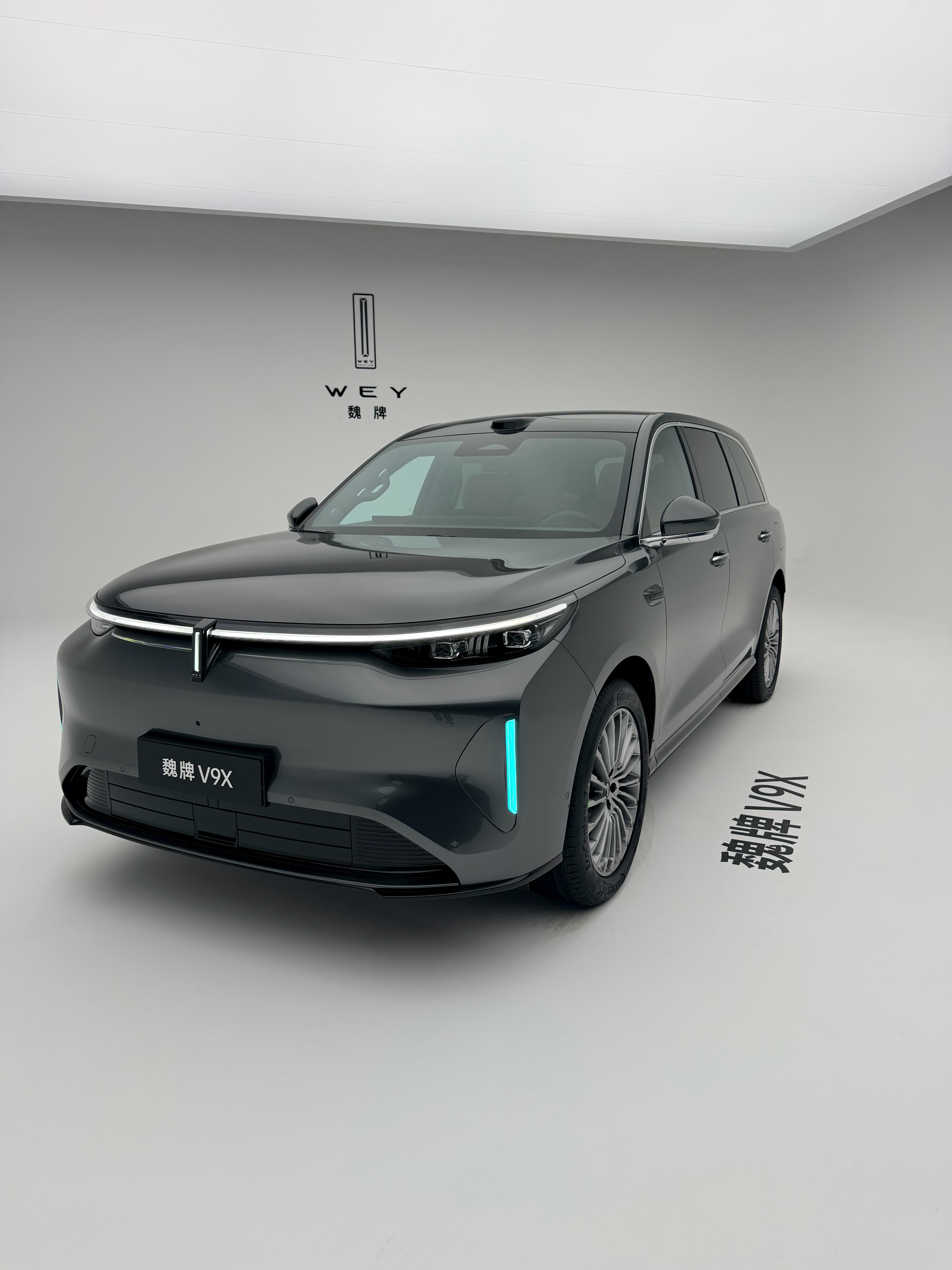 魏牌V9X实拍曝光哪个颜色好看？ 