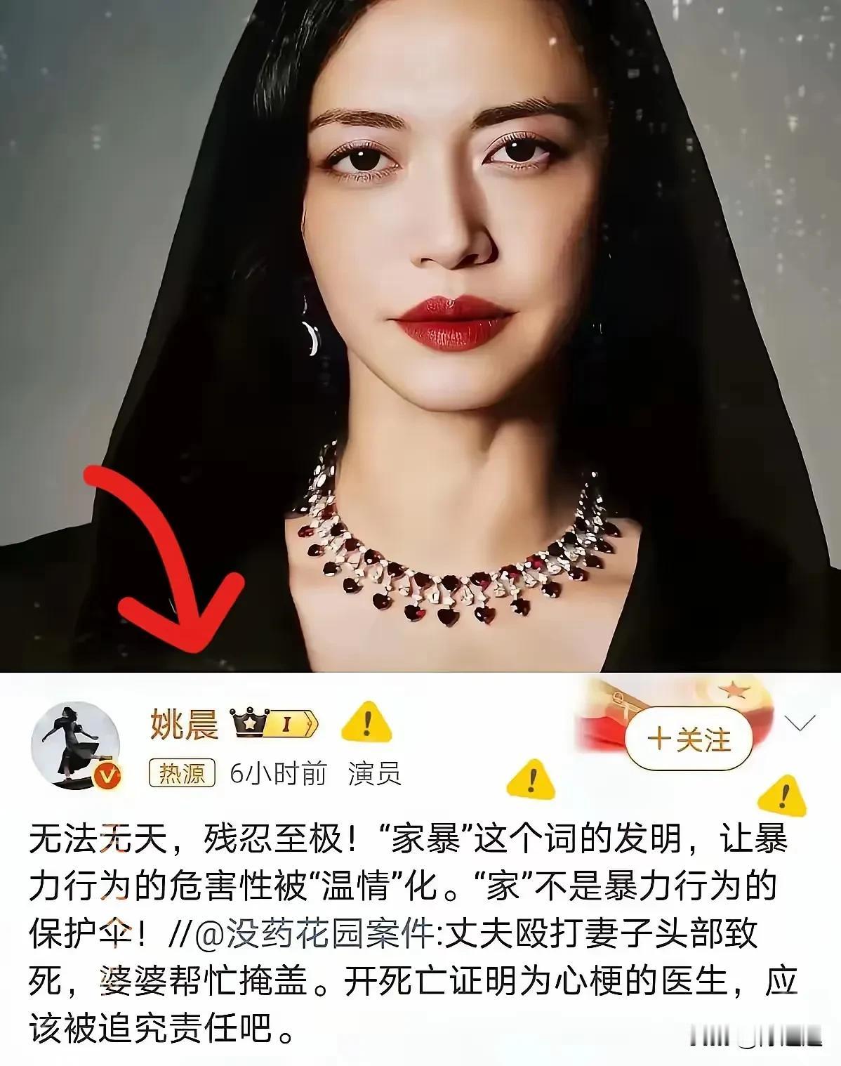 ​姚晨为河北家暴命案发声
“家暴”这个词的发明
让暴力行为的危害性变得温情化
家