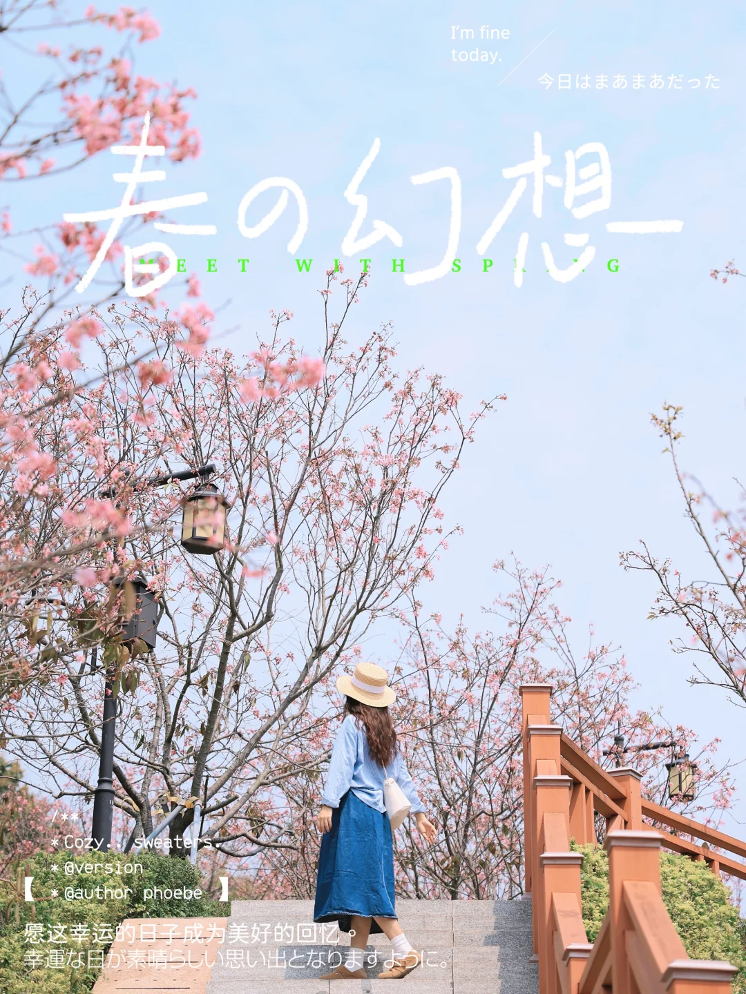 4.7深圳樱花实况‼️想拍花这周赶紧冲