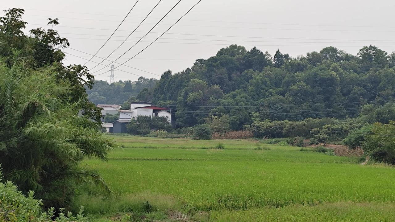 秋日生活打卡季乡村风景欣赏分享你随手拍得风景