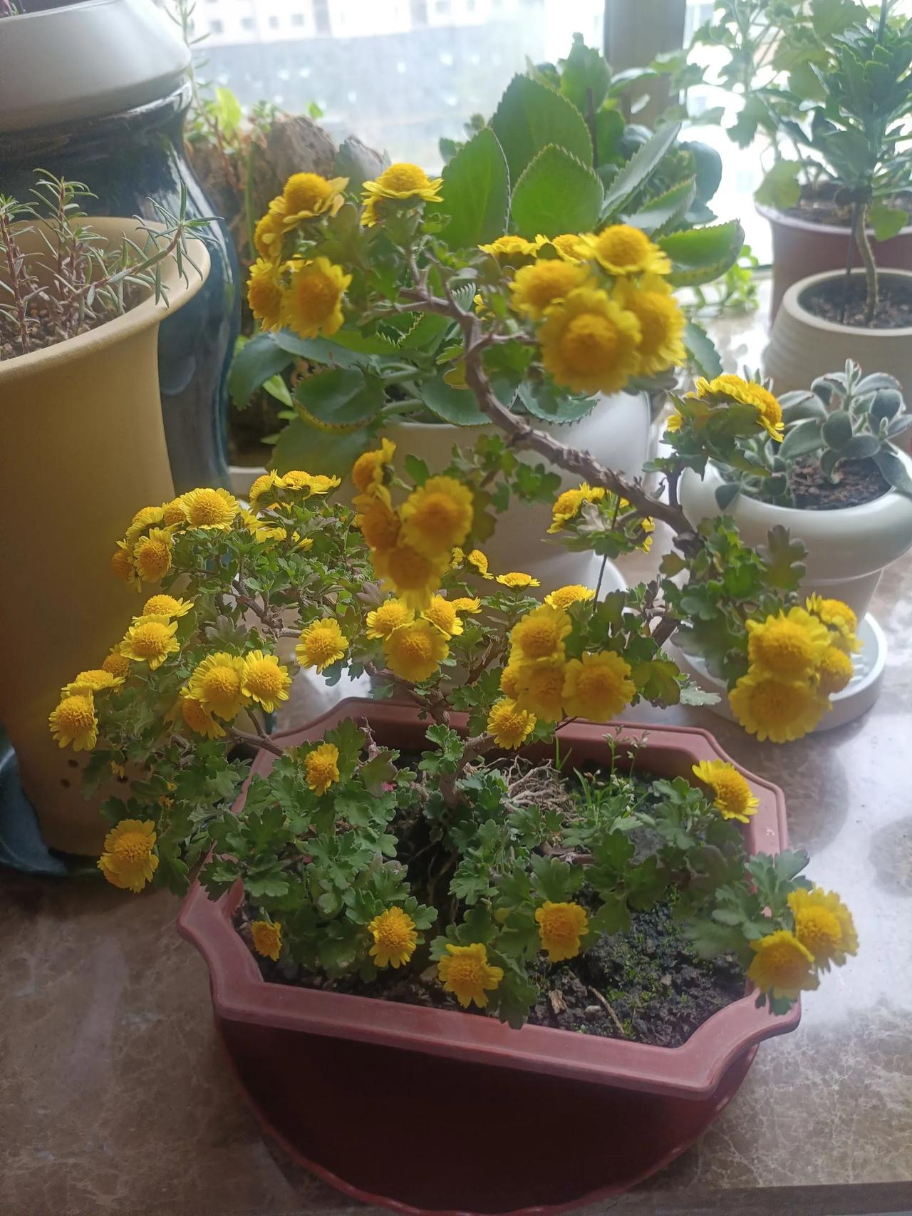 分享一张你最近随手拍的照片吧