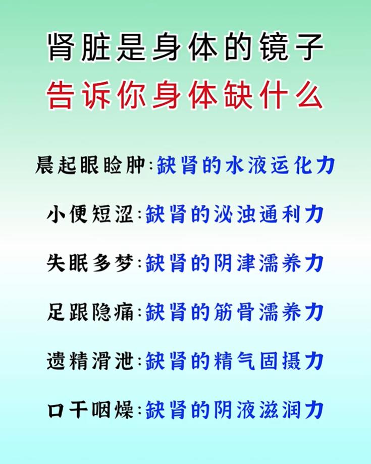 中医科普：肾脏如同身体镜子，读懂各类亏虚信号