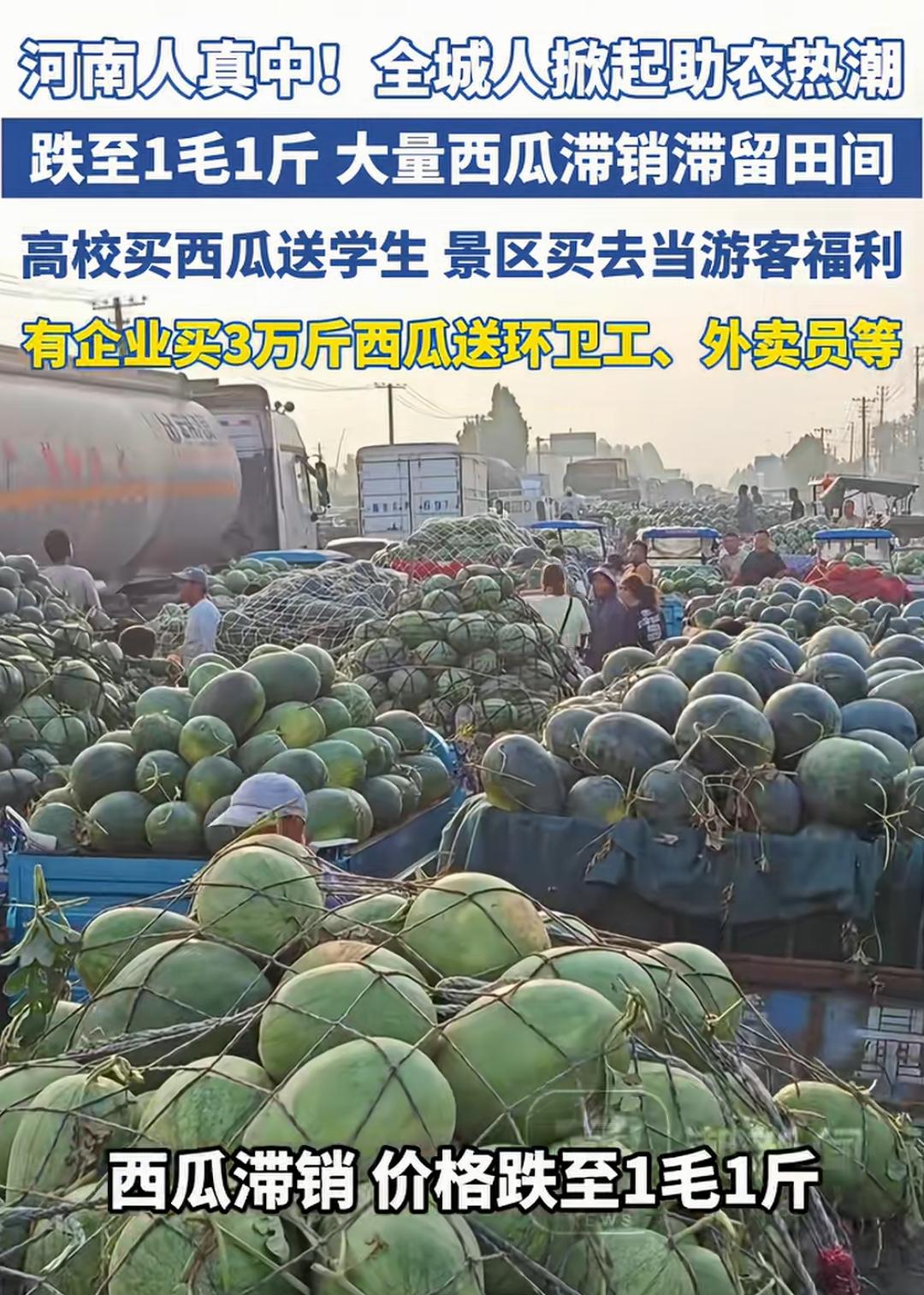 一毛一斤？
赶紧运来苏州啊，我们这2-3块一斤，运费再怎么要钱，那也比一毛一斤赚