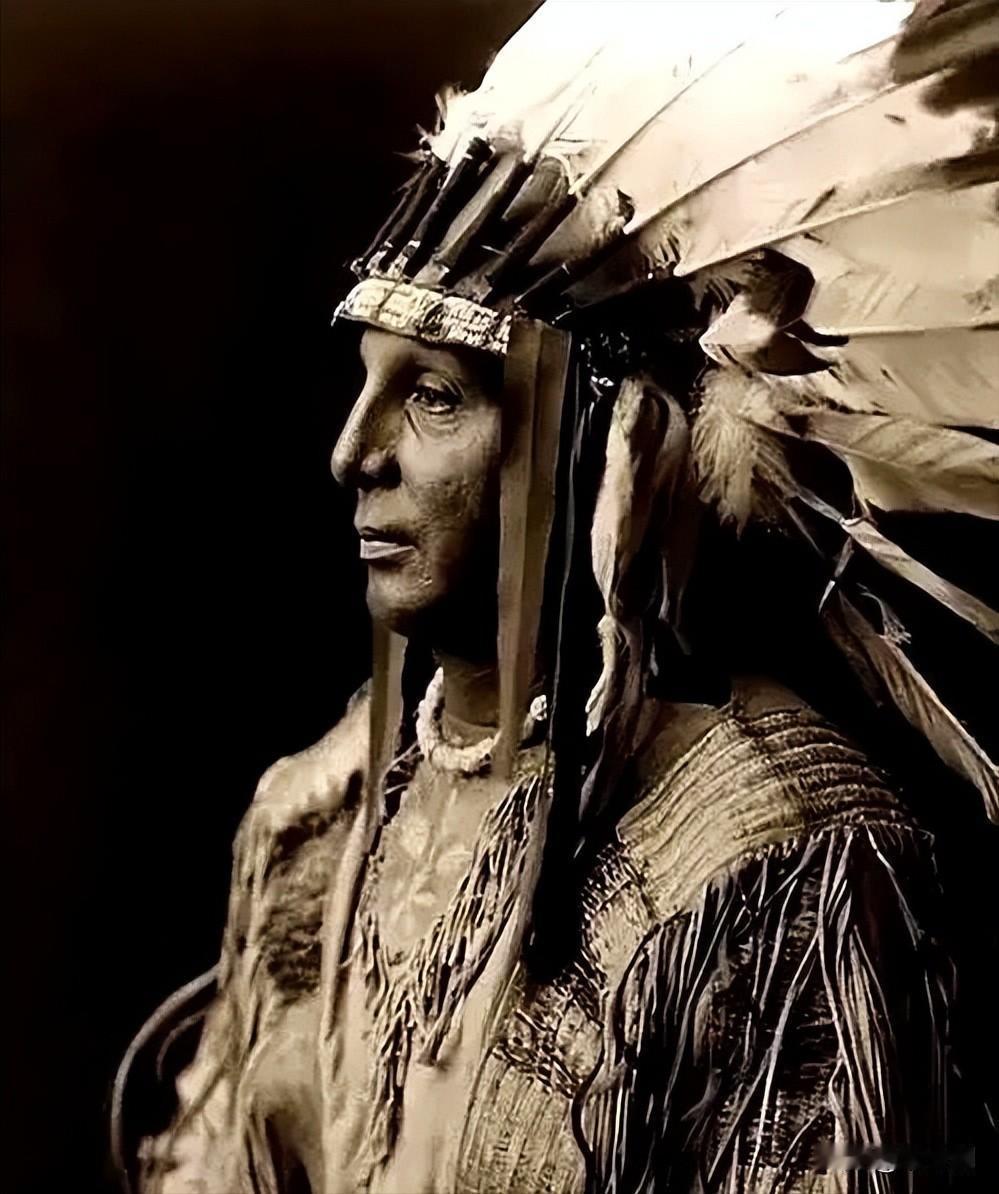 美洲原住民灭绝真相：不是死于枪炮，而是被“基因替换”了

我们曾以为，印第安人的