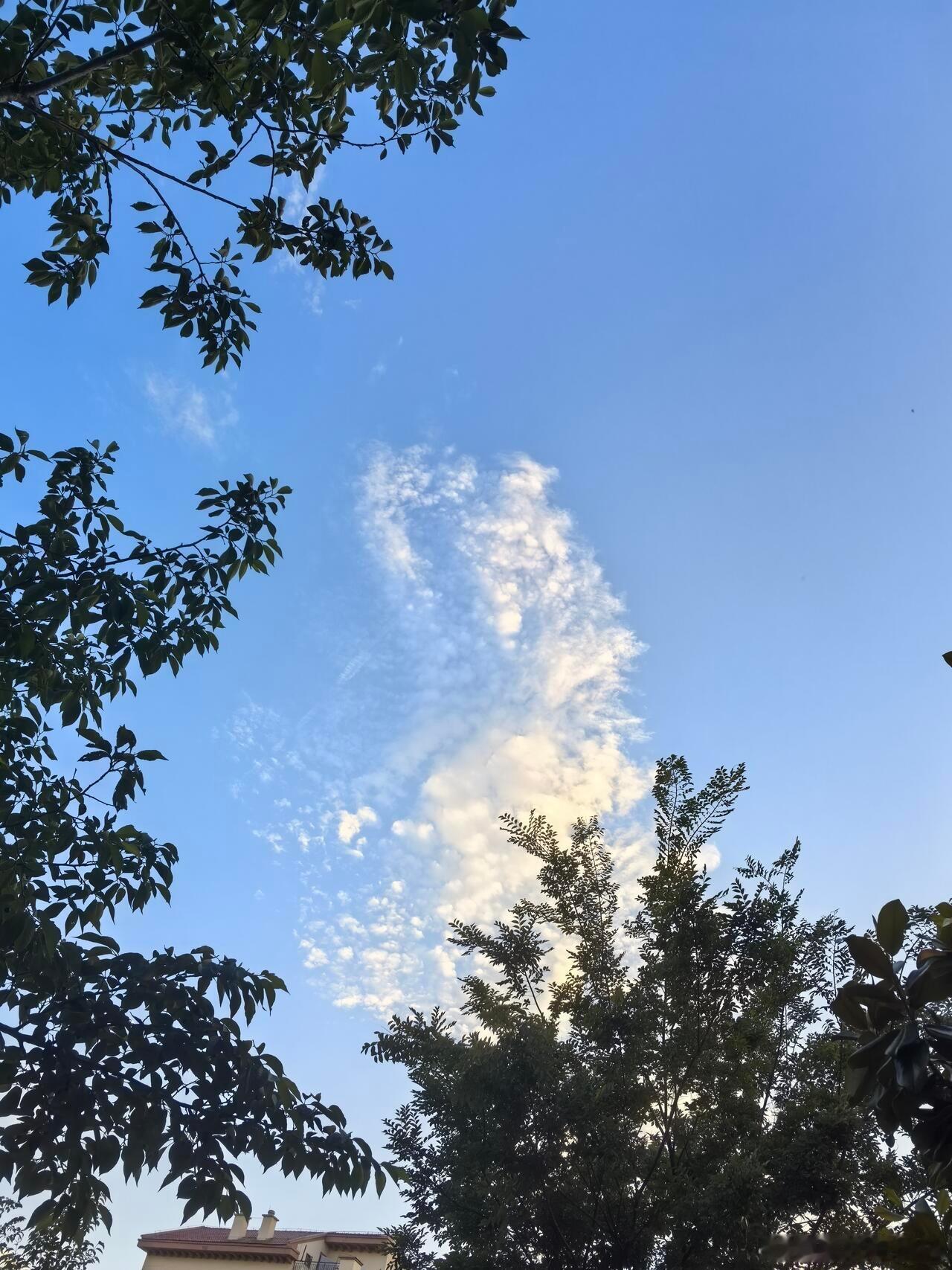 人过得拧巴，心里总觉得累，多半都是自己跟自己较劲。总喜欢用自己的想法，去要求身边