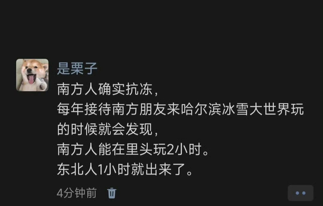 用冰雪大世界证明南方人抗冻 ​​​