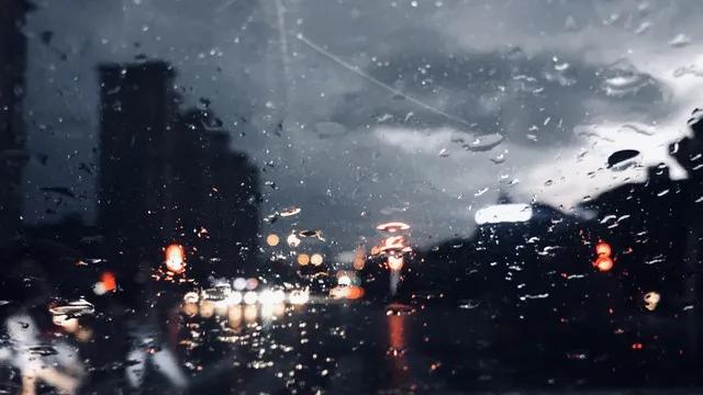 春夜喜雨
文/冰笑 
入夜喜雨降意酥， 
柳眉舒展韵情殊。 
房顶檐角银珠跳， 