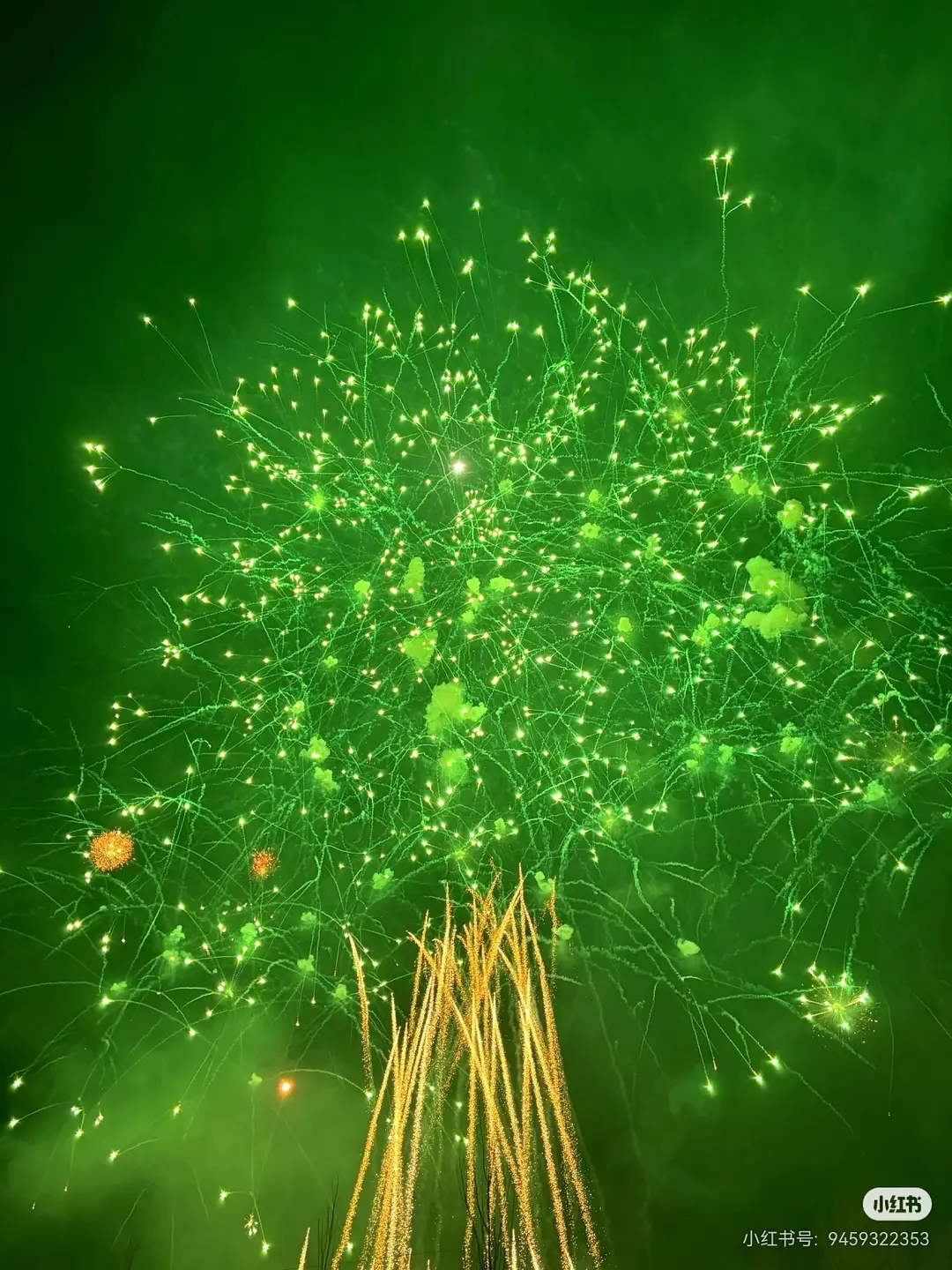 生命树烟花也许未来某一天去到德令哈，那时我会想起白菊、多杰、扎措、桑巴、贺清源，