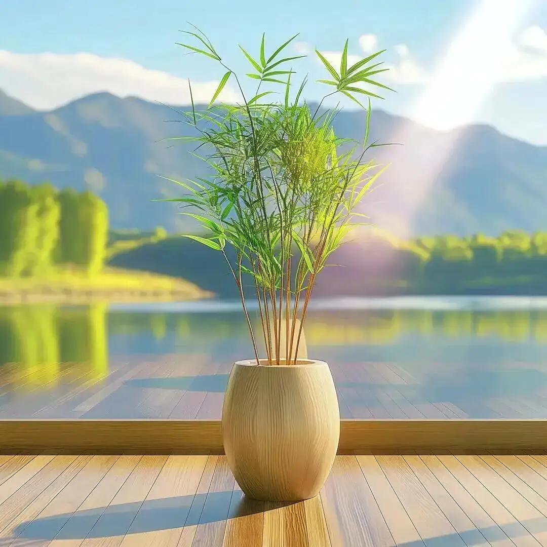 我新发布的内容被官方推荐啦！👍你也快来发布一条吧！带