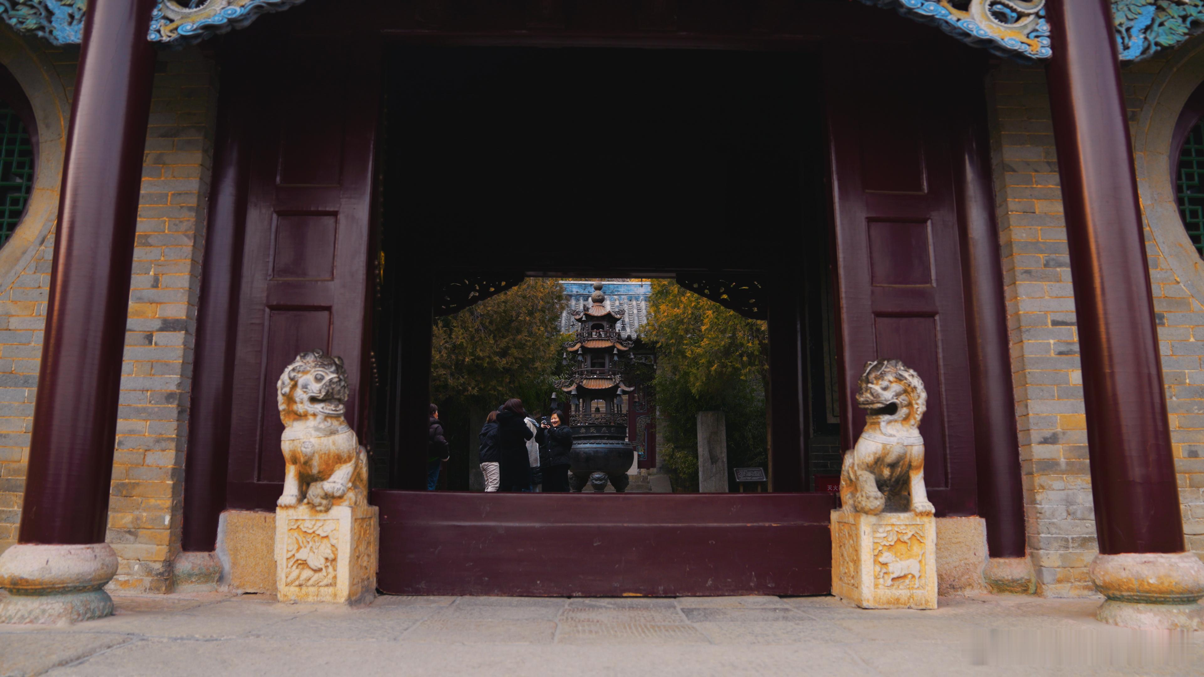 大孤山脚这波杏梅的高级感在于：热闹是共享的，安静是私人的。你可以被人群包围，也可