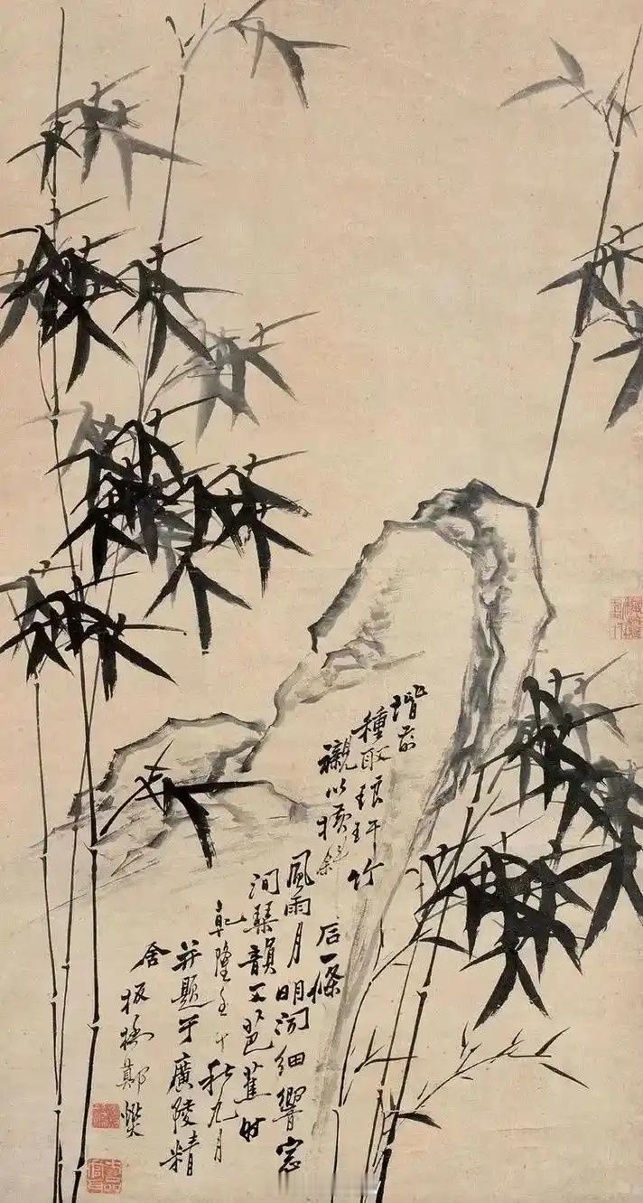 竹子的一生都是关键时刻竹子很有意思，他是历代文人视为君子的代表。因为竹子有这么几