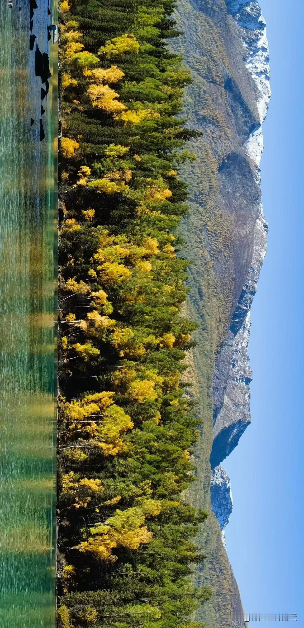 大美喀纳斯，这是上帝打落人间的调色板。