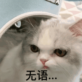 快點倒閉吧