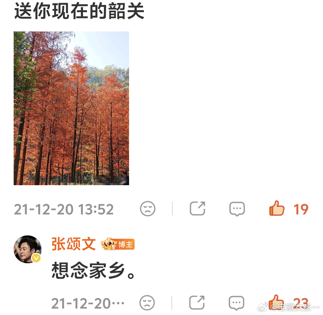 张颂文全世界最好的张颂文 考古问:老师啊，我今天好忙啊，怎么办?答:断网。