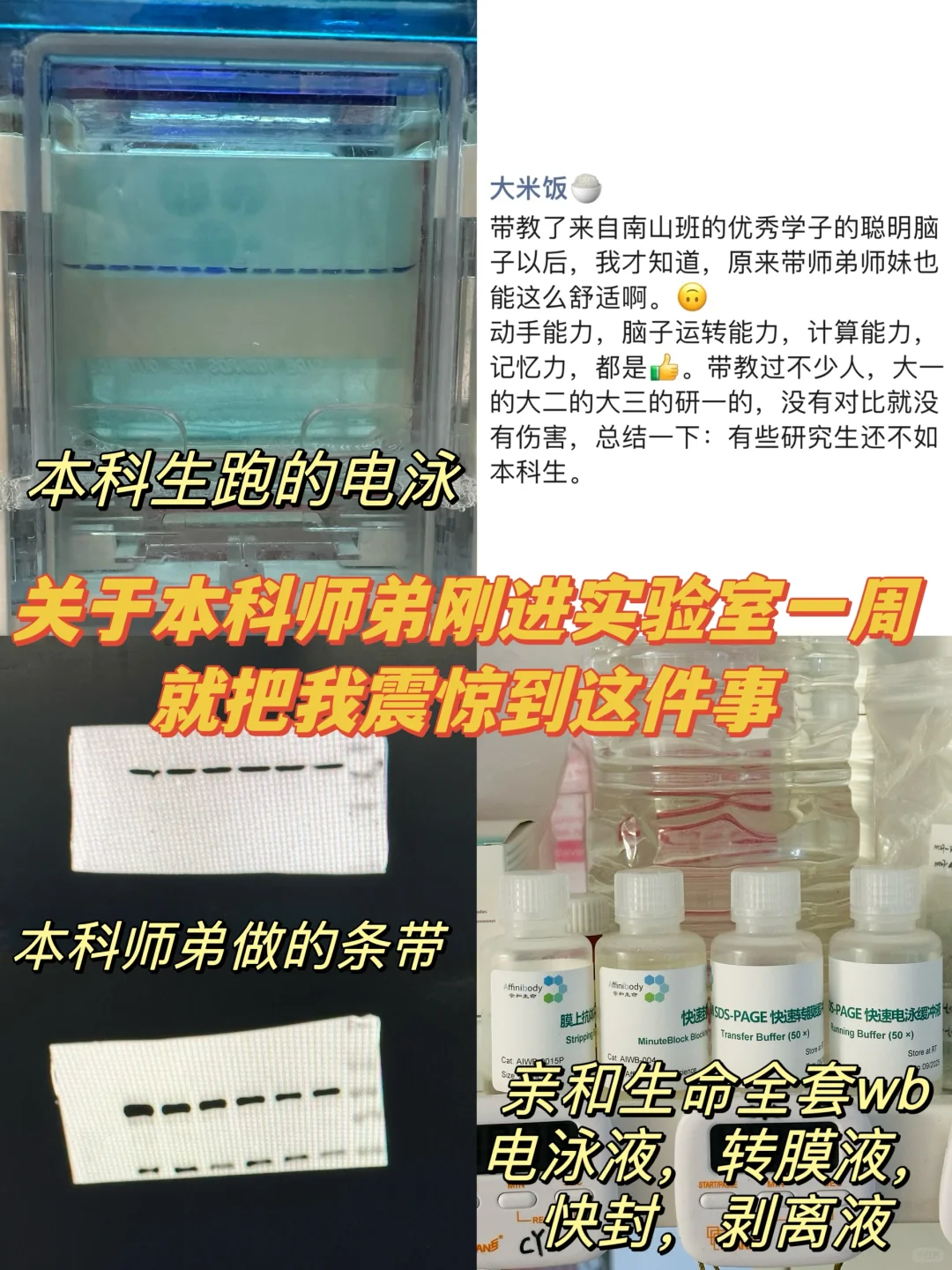 感觉很多研究生不如优秀一些的本科生。