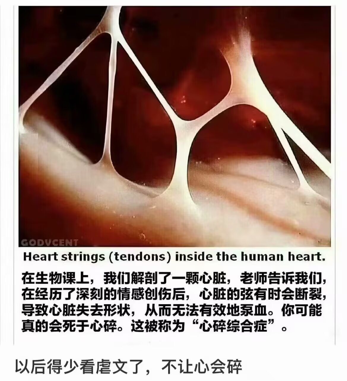 原来真的会心碎呀！！！ ​​​