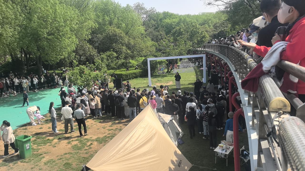 泉城公园踏青人群