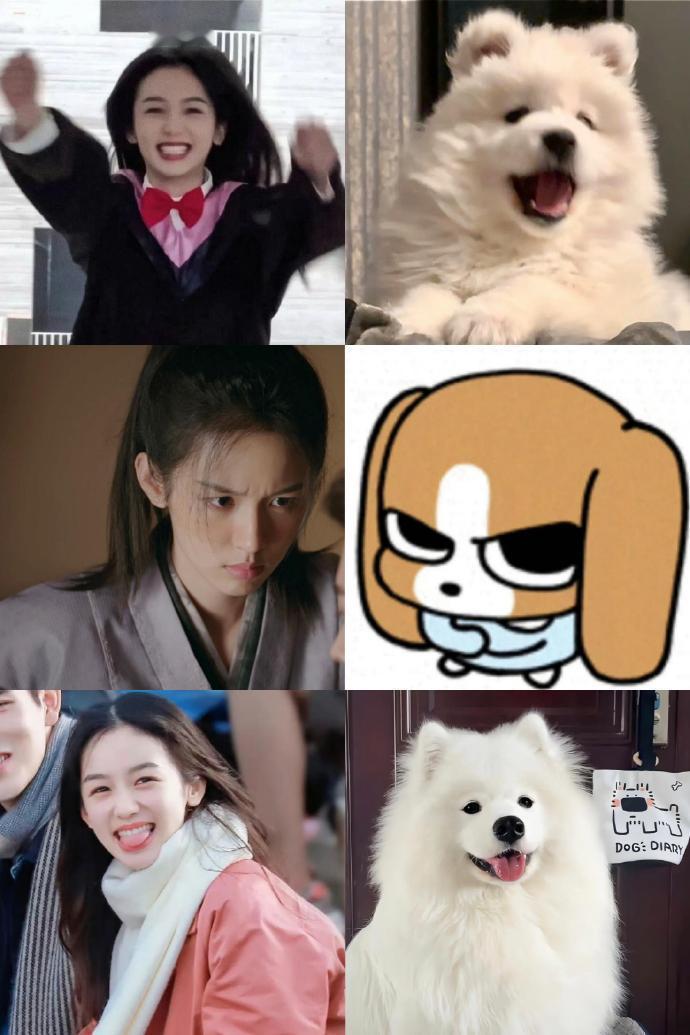 周也伟大的镜头签 投稿【周也】我家那小狗 