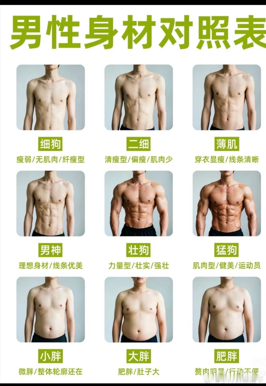 男人身材对照 