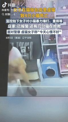 “严惩到底！”辽宁沈阳，一猫咖店员巡看包房监控时，发现一女子在虐猫，店员紧急冲进