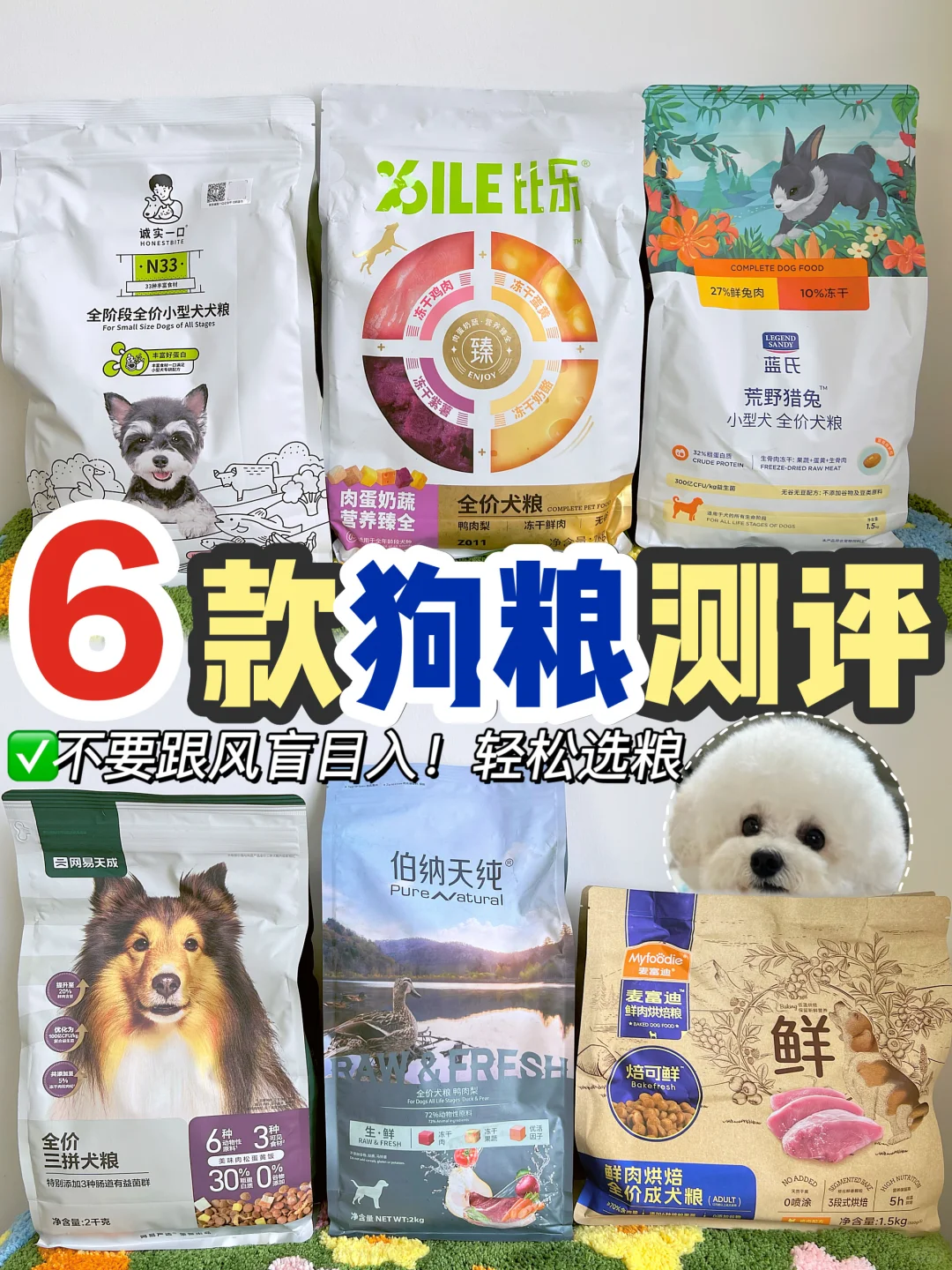 养狗狗粮选择困难症？一篇帮你找到本命狗粮