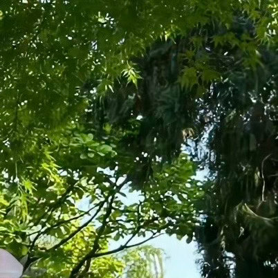 黄金大涨大跌之下，既是机遇，也是风险。很多人输，不是输在看不懂行情，而是输在情绪
