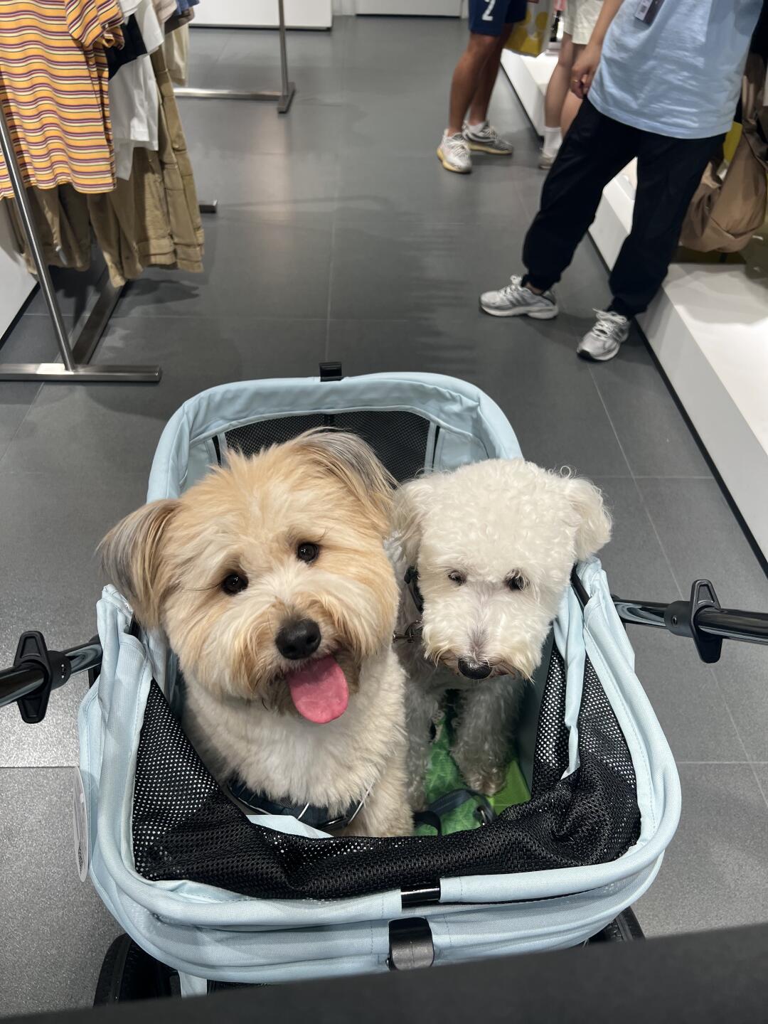 条条我狠狠爽到