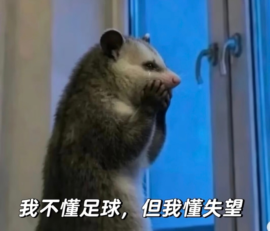 追世界杯的我belike深陷世界杯赛程二十二天难以自拔，白天萎靡不振频繁补觉，嘴
