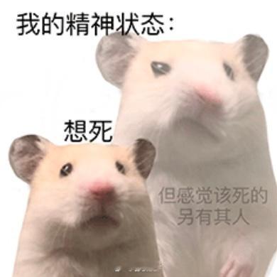 我真服了…我今天发布会旁边坐的媒体老师应该是老烟民了就是那种呼吸都会有股子浓厚的