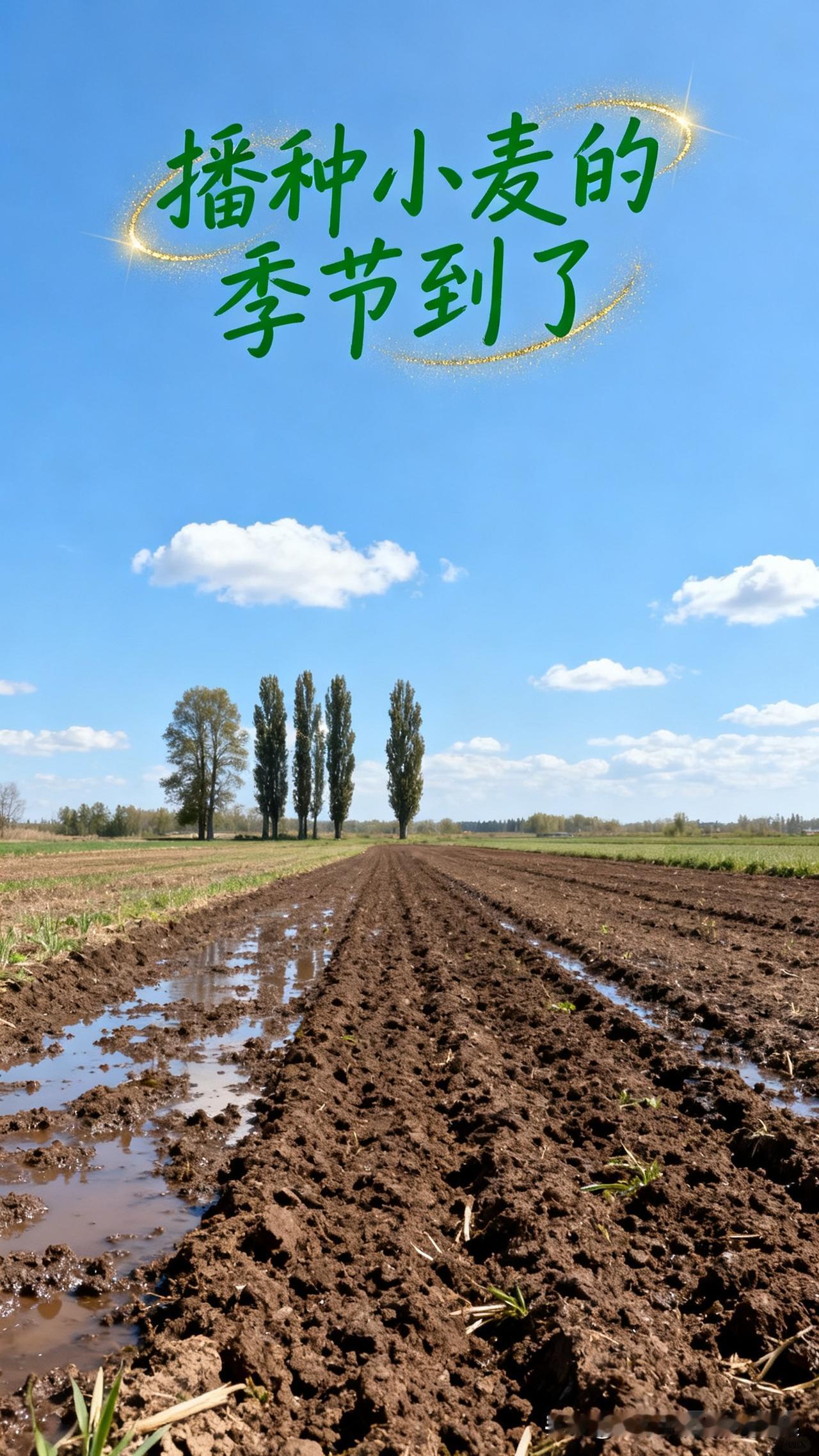 河南老家的麦地还没下种，离立冬就剩几天了
 
今天给爸妈打电话，愁得睡不着觉——