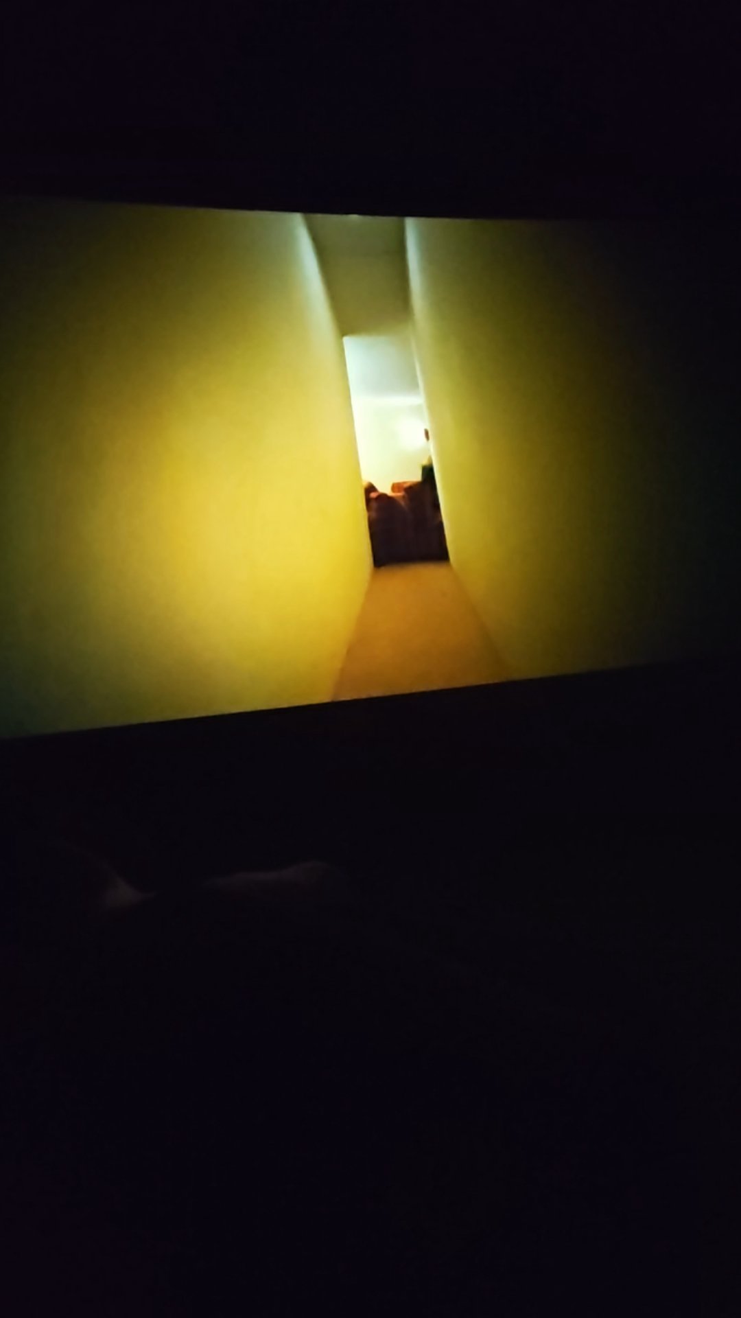《后室》看得我脊背发凉 不介意观看