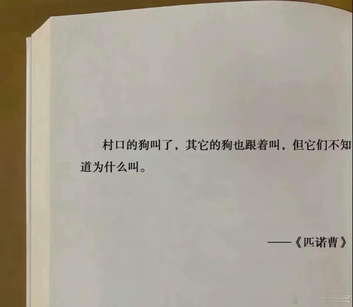 思考多麻烦，跟着爽就行了 