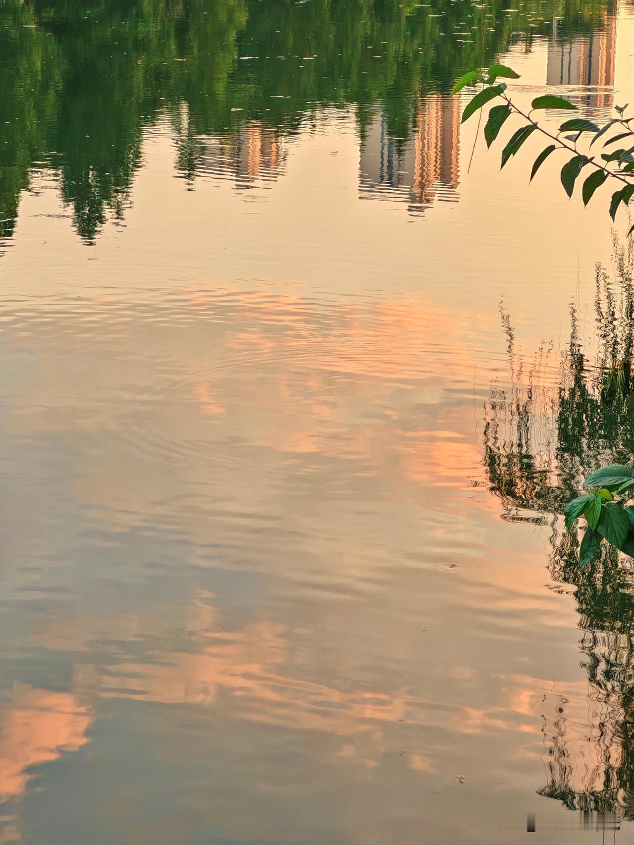 落日熔金，霞铺水面，几簇紫花凝清夏；
微风皱水，树映沧波，一岸翠柳弄晚晴。