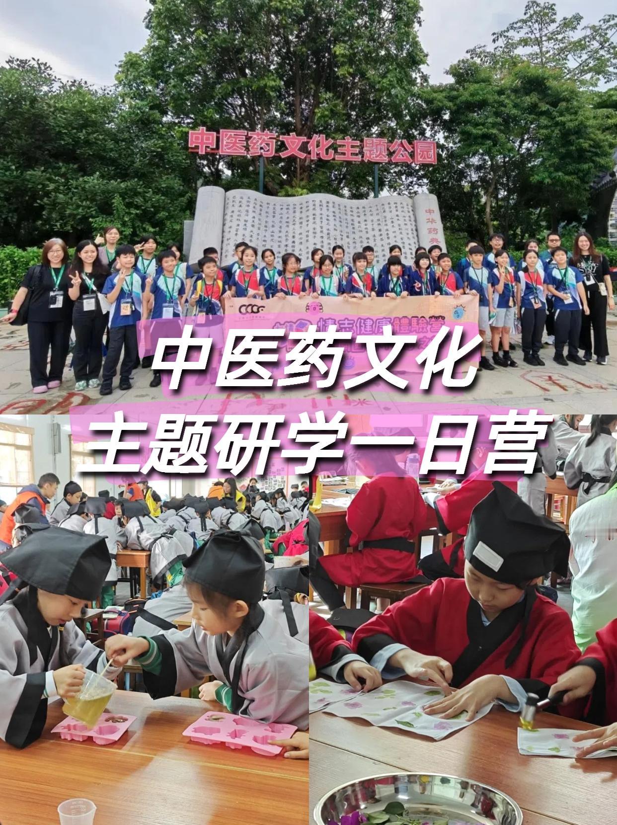 心游户外特色活动精选~从化中医药文化研学一日营~识百草、学古法、听药香故事…… 