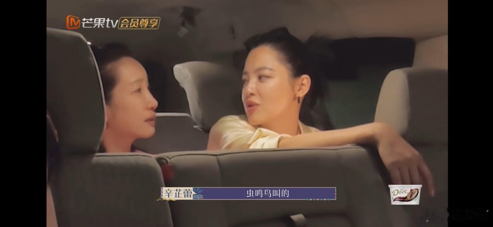 海璐姐快来看辛芷蕾这样露营 笑不活了！辛芷蕾曾和秦海璐科普露营是虫鸣鸟叫小桥流水