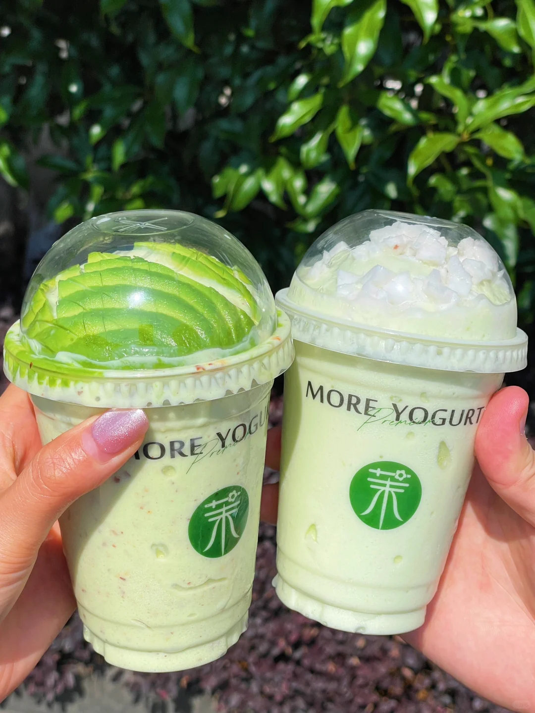 茉酸奶🥑牛油果酸奶奶昔大测评！！！