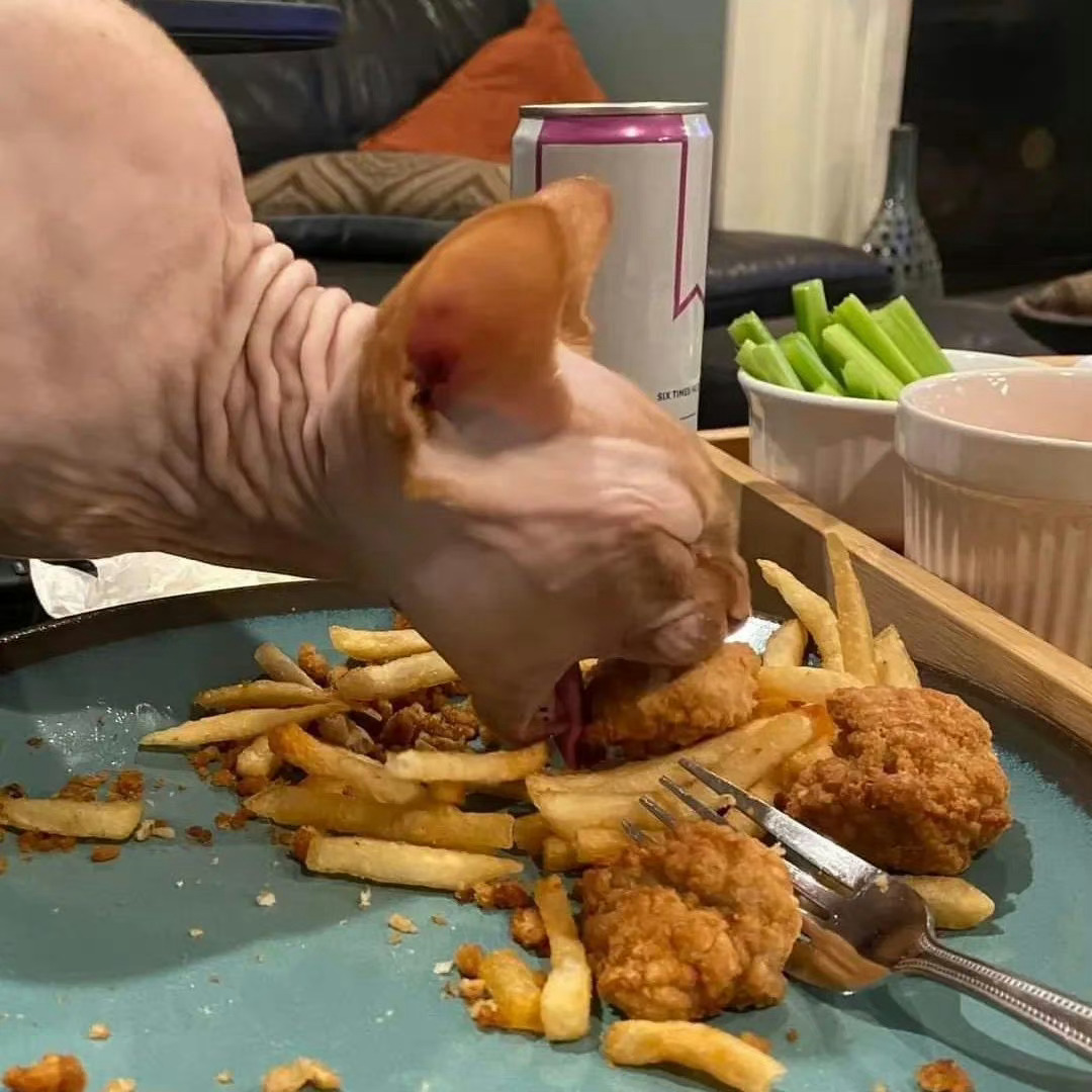 饿了 ​​​