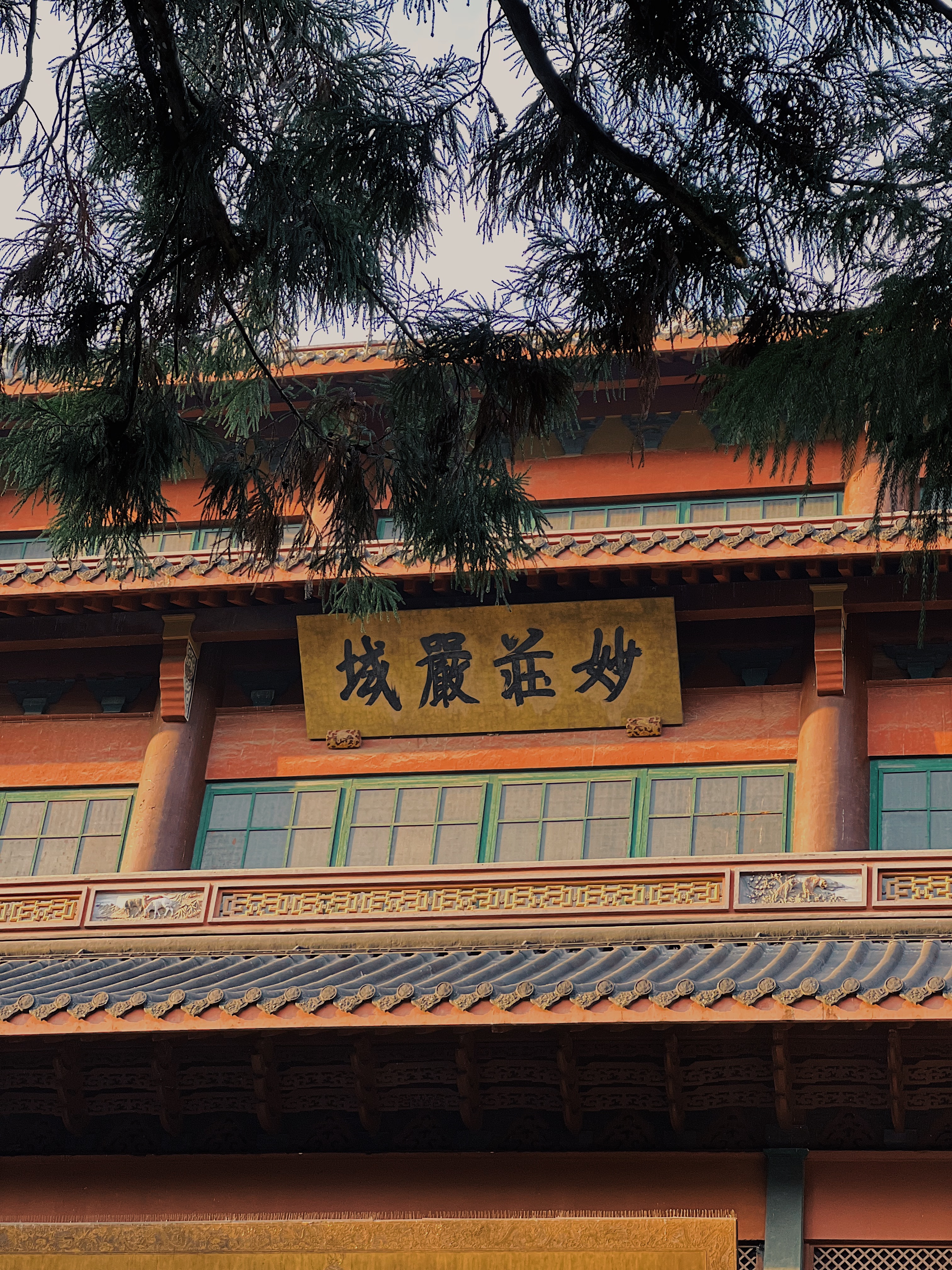 所求皆所愿 ​​​
