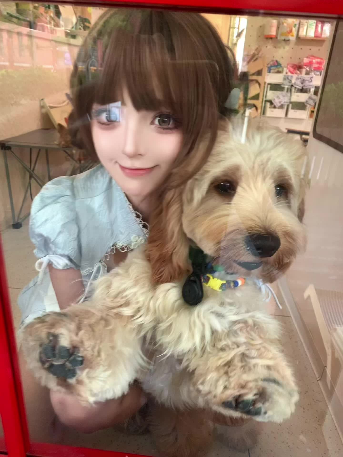 七夕跟小狗过՞ฅ´ ꄃ `ฅ՞