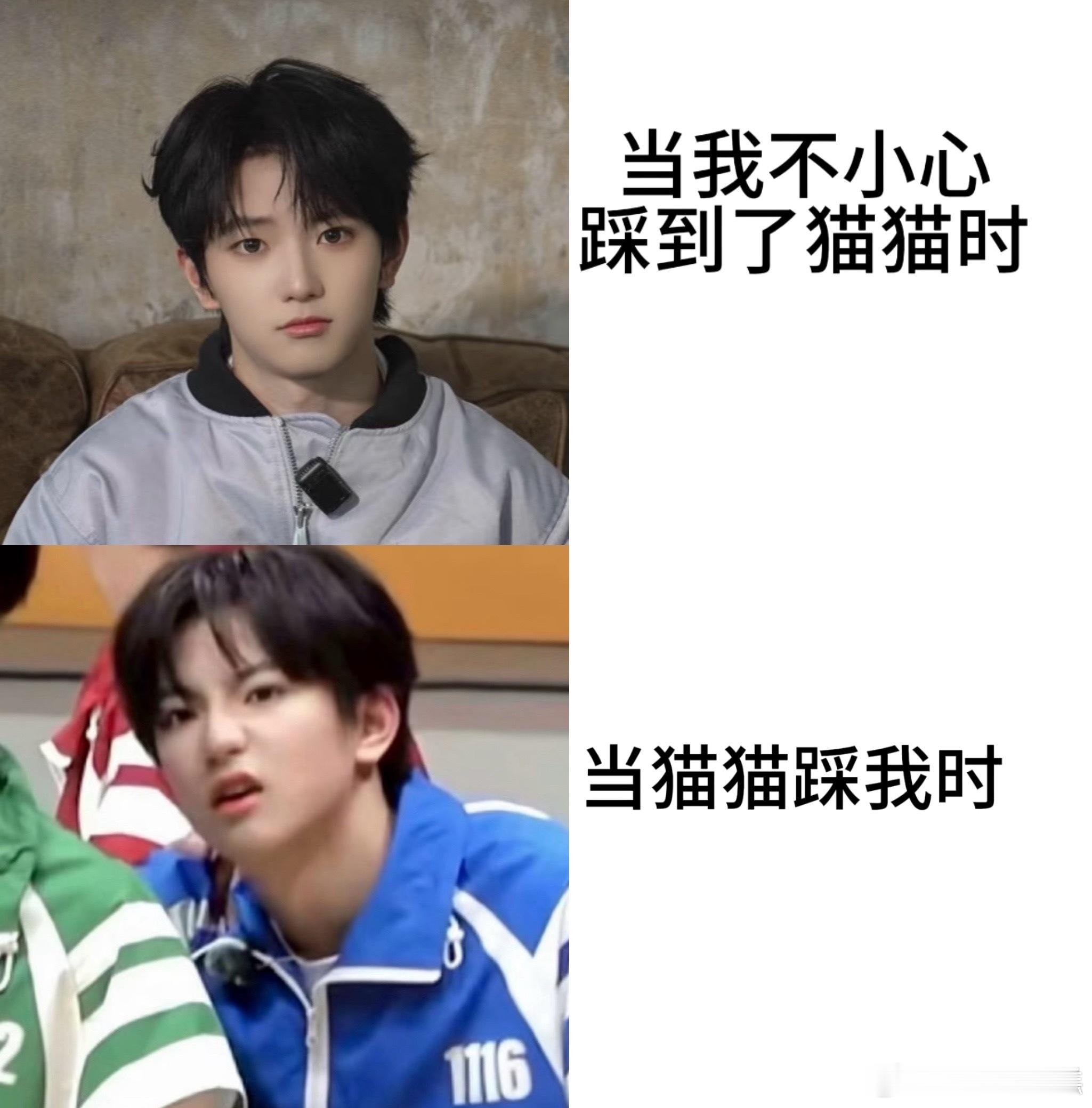 我踩猫🆚猫踩我 