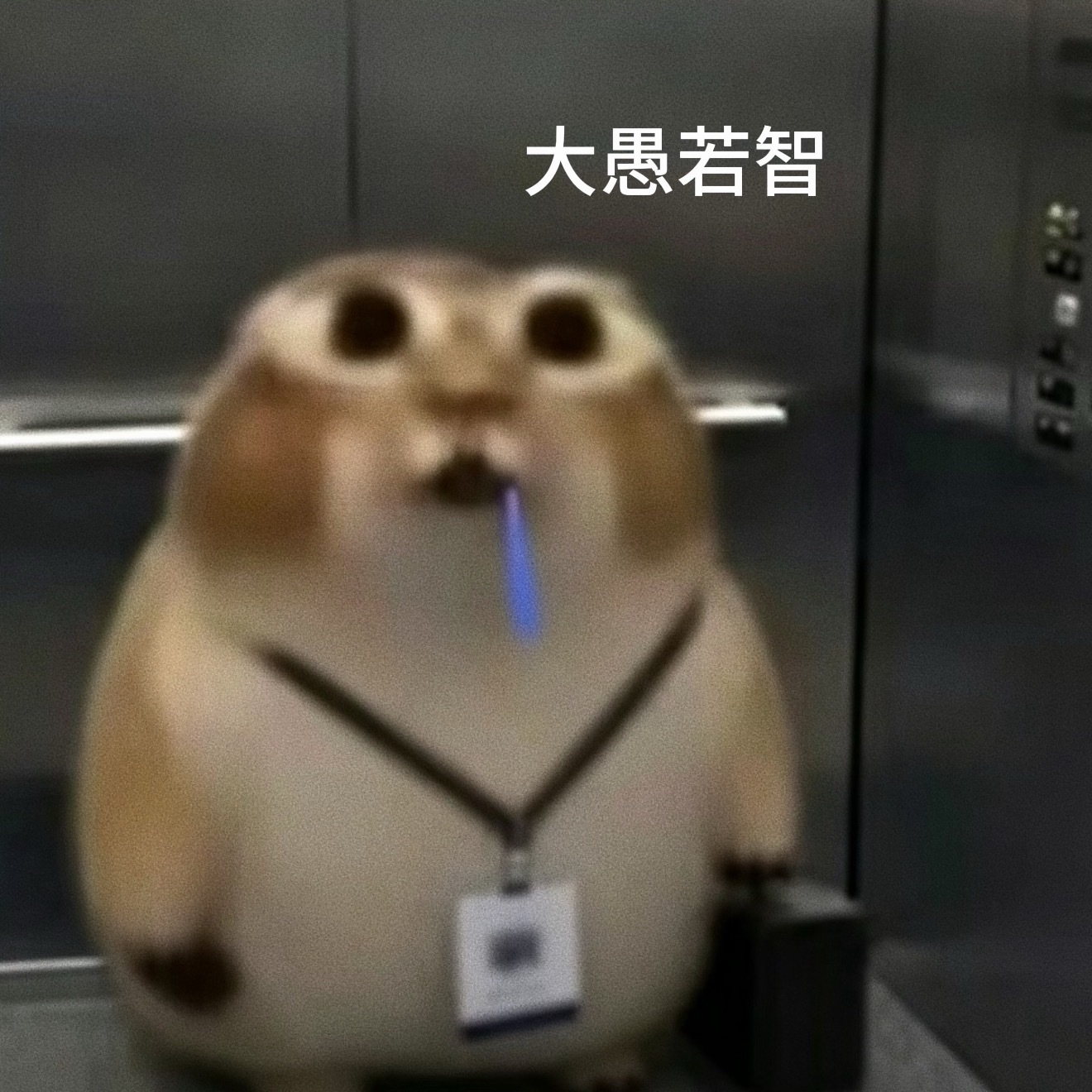 发现相亲一个很有趣的现象，我朋友这两天去相亲，反正也是家人介绍的，都是优先考量安
