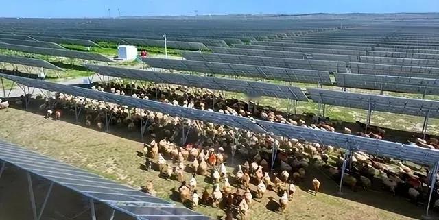 万万没想到，中国基建闹了个大“乌龙”，本打算耗资3亿在荒漠建发电厂，没想到10年