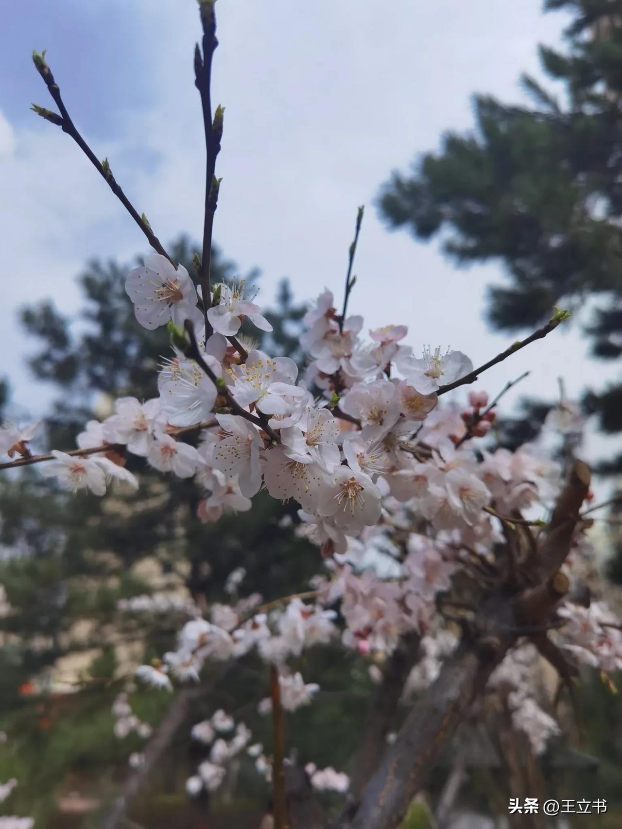 春日生活打卡季更重要的是，与这些优秀的人相处，让你学会了如何更好地爱自己、爱生活