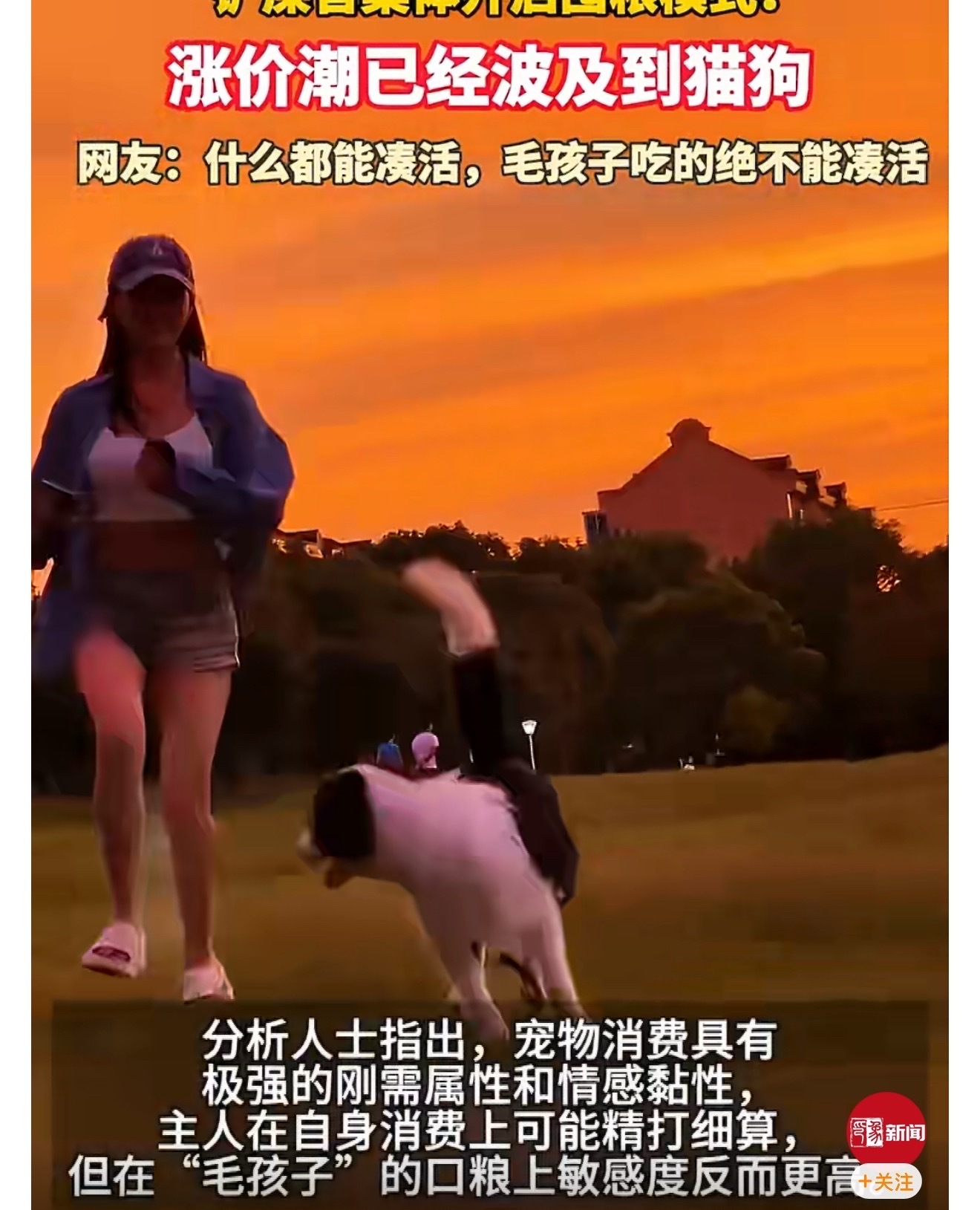 涨价潮已经波及到猫狗 现在的宠物消费市场真的很有意思，大家对自己挺狠的，各种精打