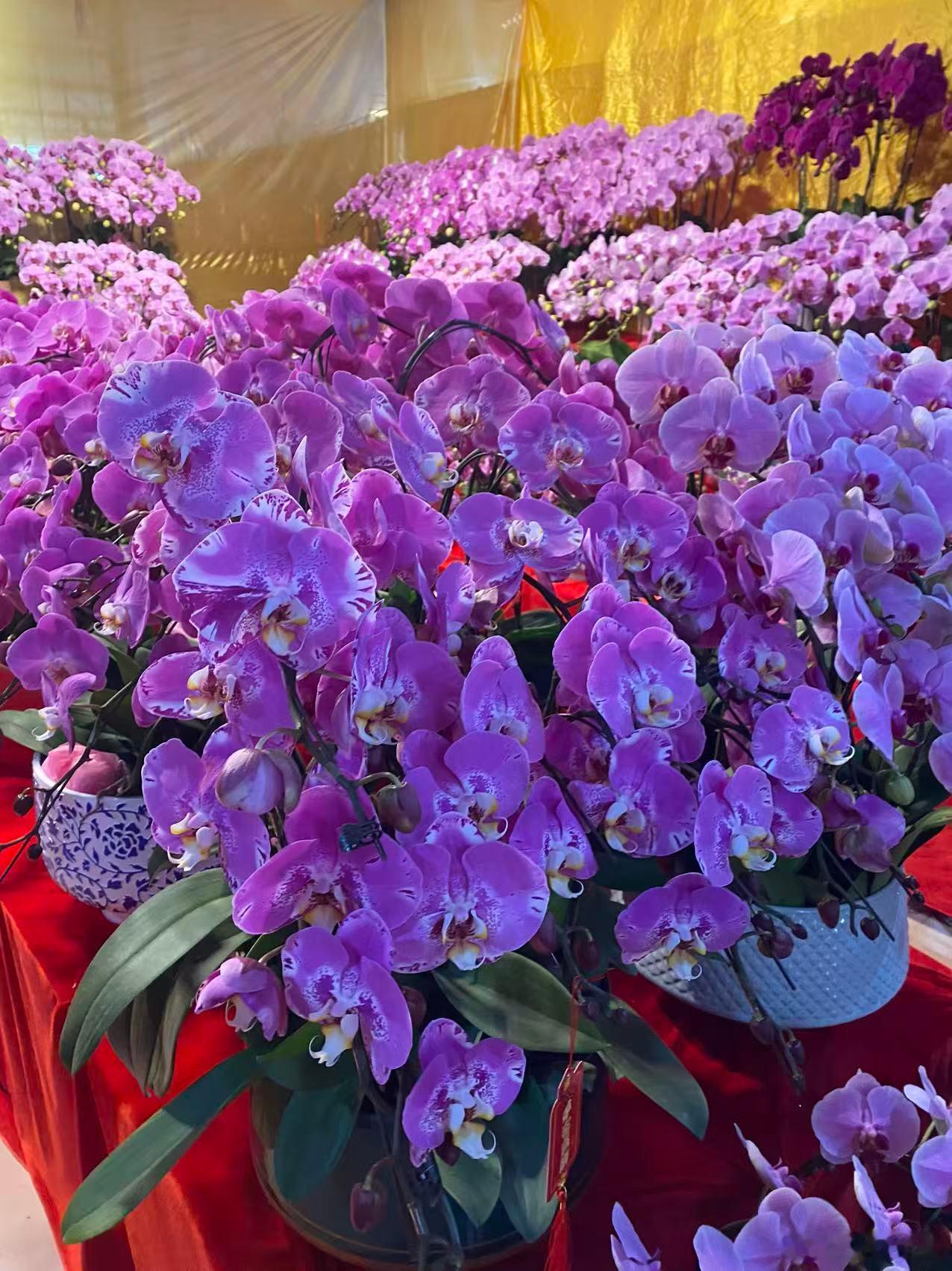 今天智谱大涨28.68%，市值1792亿港元…MiniMax大涨14.62%，市