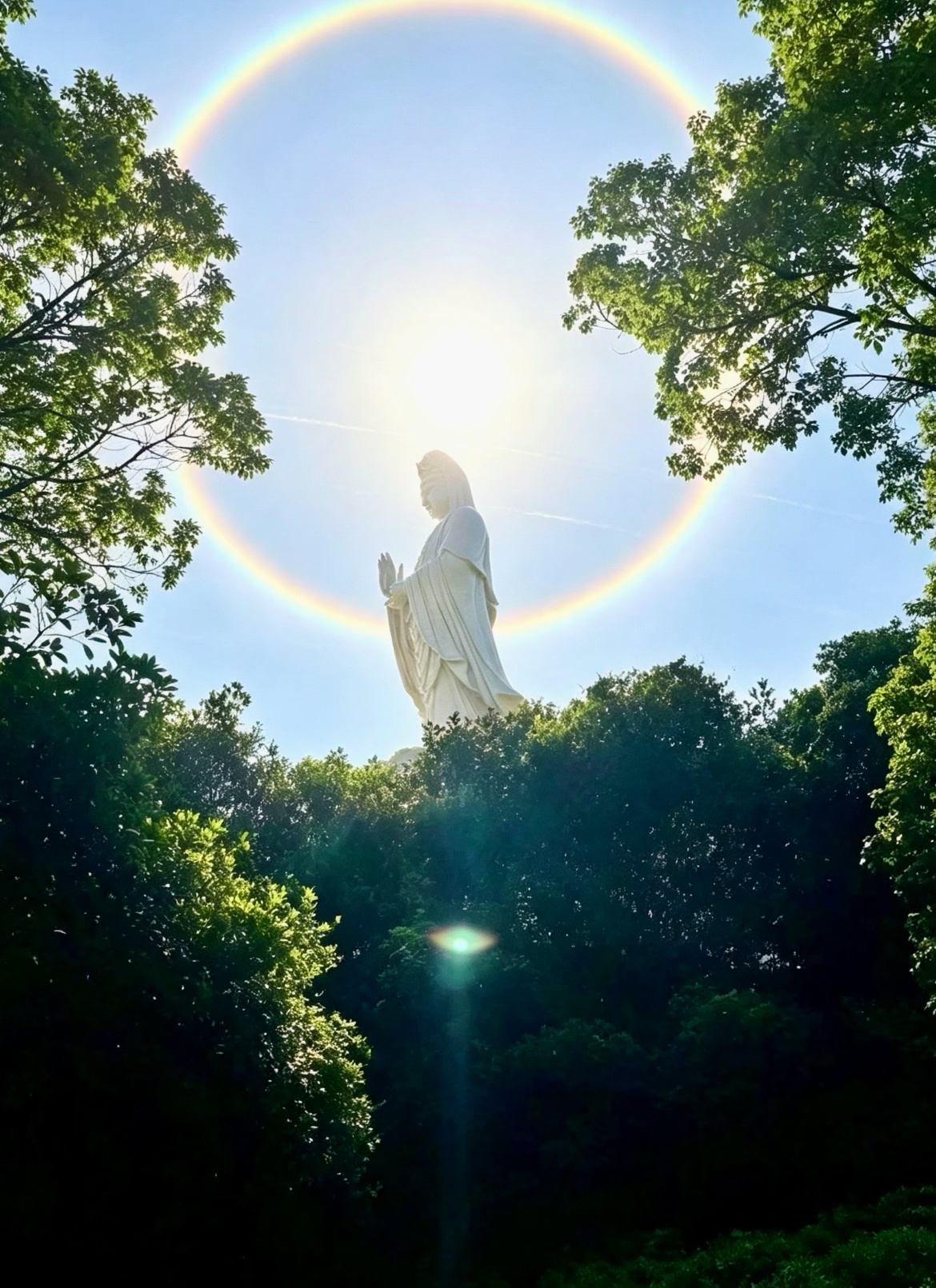 农历六月十九🙏恭迎观世音菩萨成道日佛光普照见者吉祥愿所求皆如愿✨所行皆坦途平安