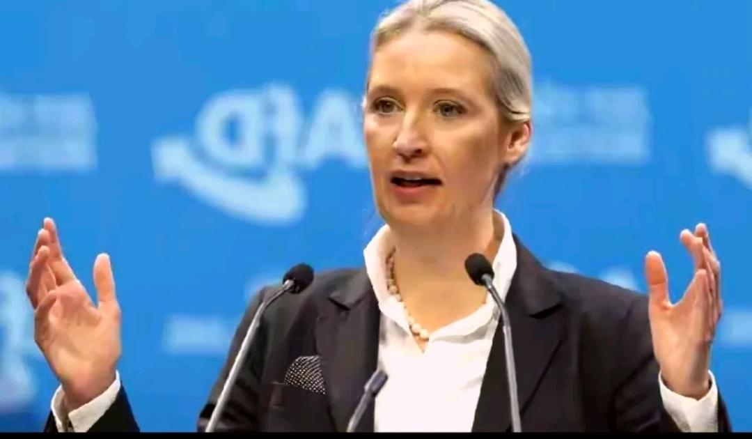 德国选择党主席魏德尔6月7日在接受媒体采访时说，她反对德国派军舰去中国家门口所谓