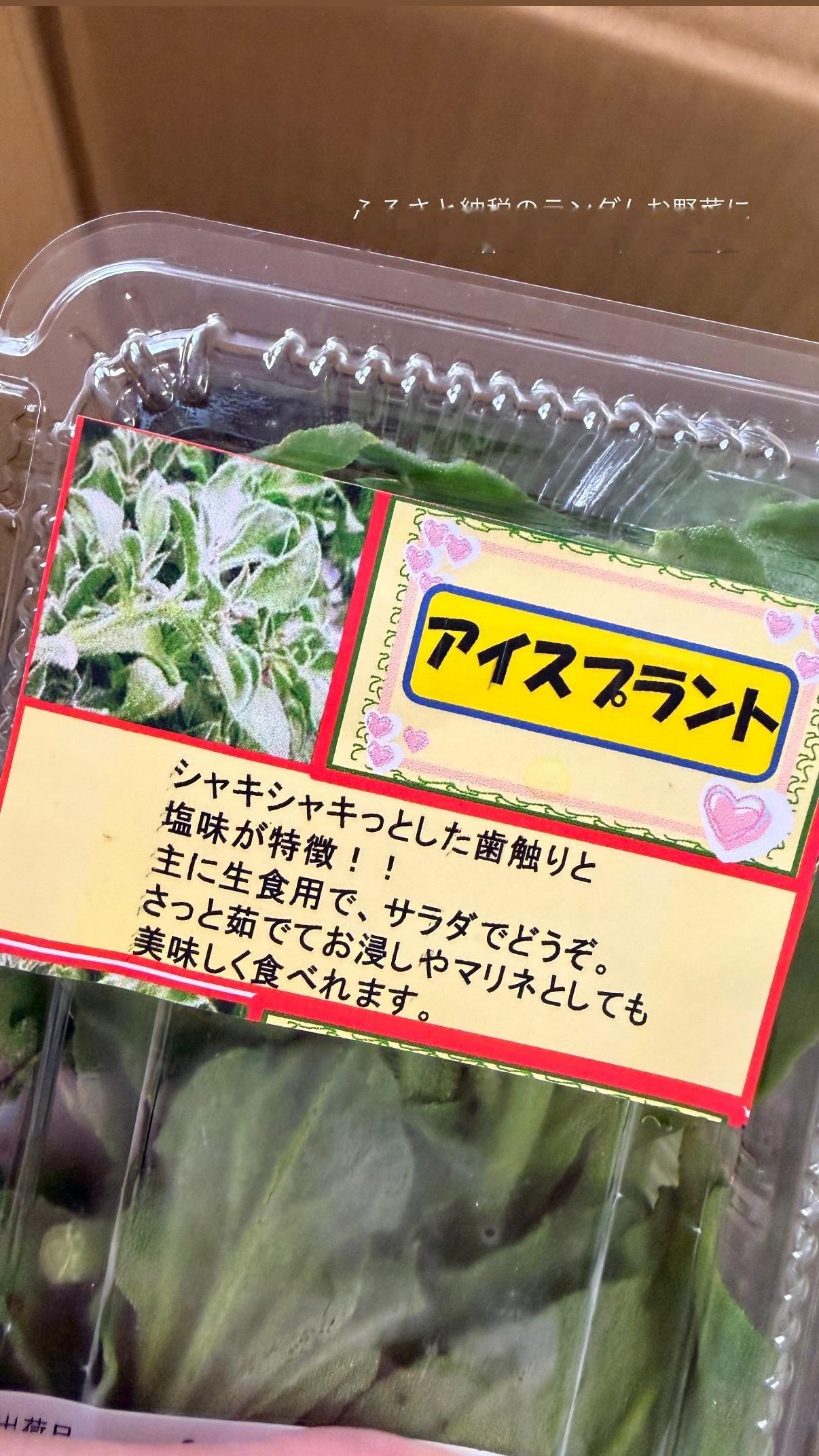 奥山和紗（ins 快拍 