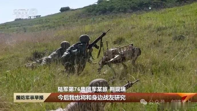 三三制恐怖如斯？一个战斗小组三人带三狗，这压迫感太强了 三三制进化了以前是一个班
