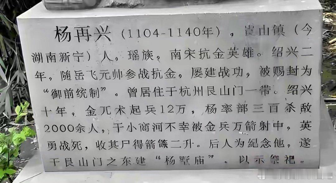 134 年，岳飞帐前，杨再兴单膝跪地，手中紧攥着半截枪缨。这位刚与岳飞大战三百回